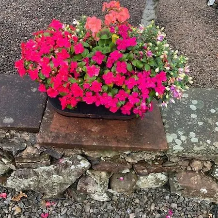 Farm Caravan On Working Farm *